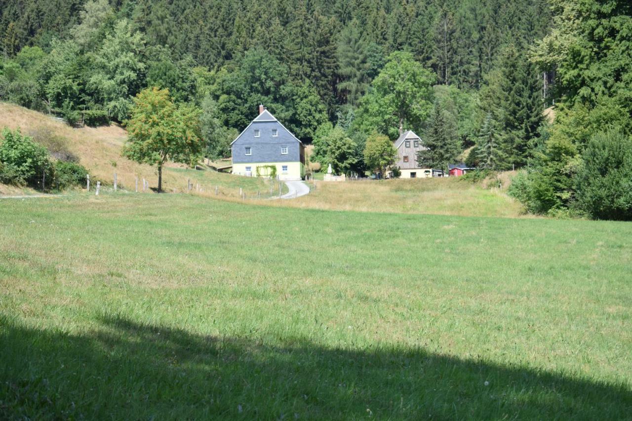 Ferienwohnung Waldmuehle Saupsdorf Exteriér fotografie
